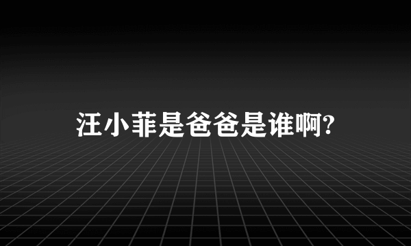 汪小菲是爸爸是谁啊?