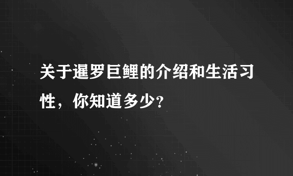 关于暹罗巨鲤的介绍和生活习性，你知道多少？