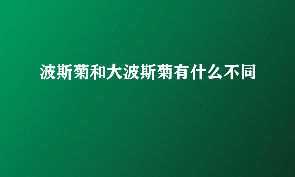 波斯菊和大波斯菊有什么不同