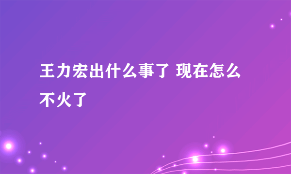 王力宏出什么事了 现在怎么不火了