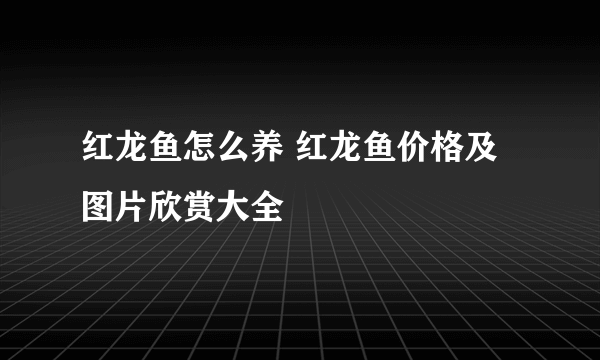 红龙鱼怎么养 红龙鱼价格及图片欣赏大全