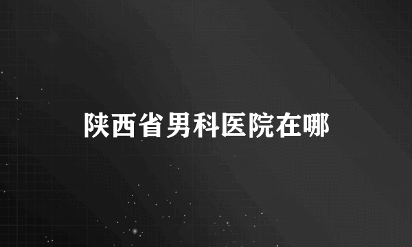 陕西省男科医院在哪