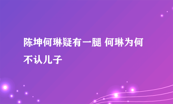 陈坤何琳疑有一腿 何琳为何不认儿子