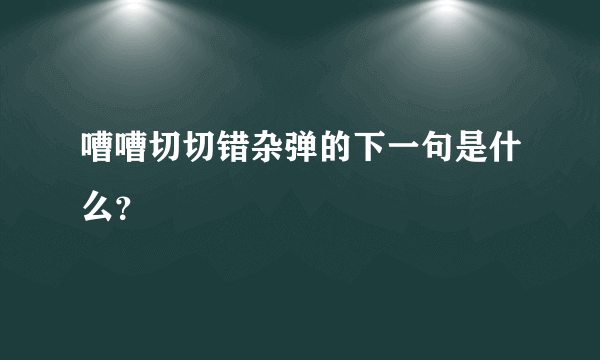 嘈嘈切切错杂弹的下一句是什么？