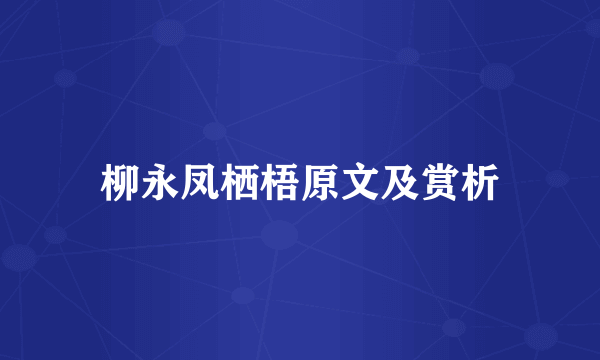 柳永凤栖梧原文及赏析