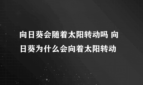 向日葵会随着太阳转动吗 向日葵为什么会向着太阳转动