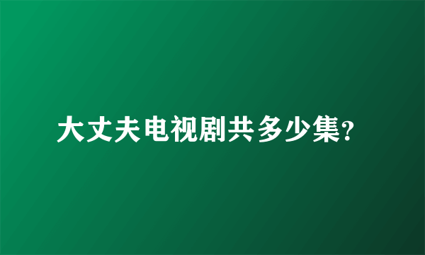 大丈夫电视剧共多少集？