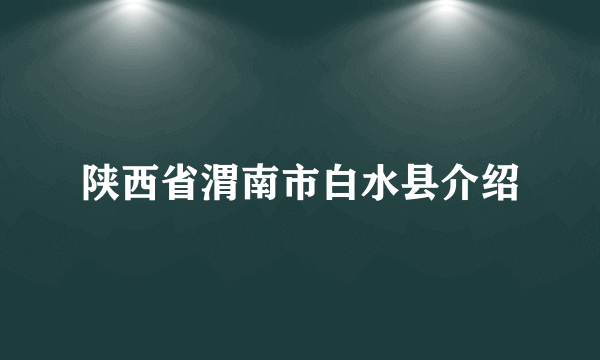 陕西省渭南市白水县介绍