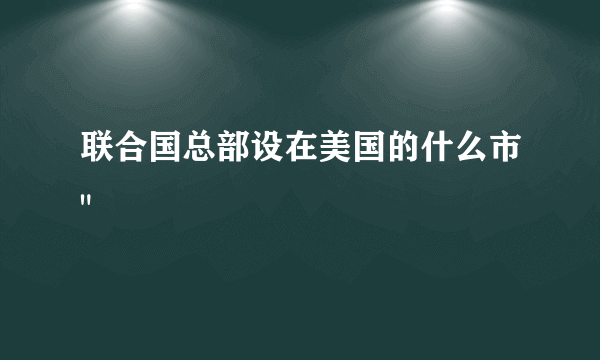 联合国总部设在美国的什么市