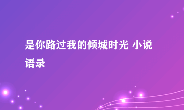 是你路过我的倾城时光 小说语录