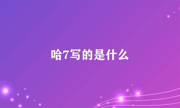 哈7写的是什么