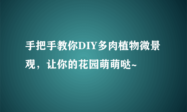 手把手教你DIY多肉植物微景观，让你的花园萌萌哒~