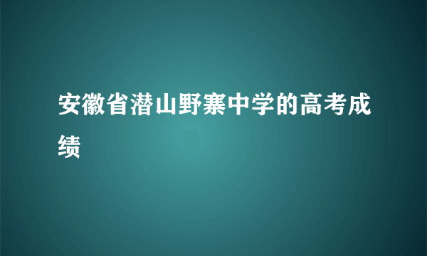 安徽省潜山野寨中学的高考成绩