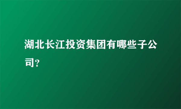 湖北长江投资集团有哪些子公司？