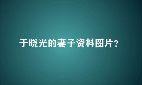 于晓光的妻子资料图片？