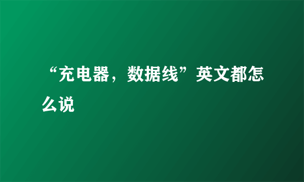 “充电器，数据线”英文都怎么说