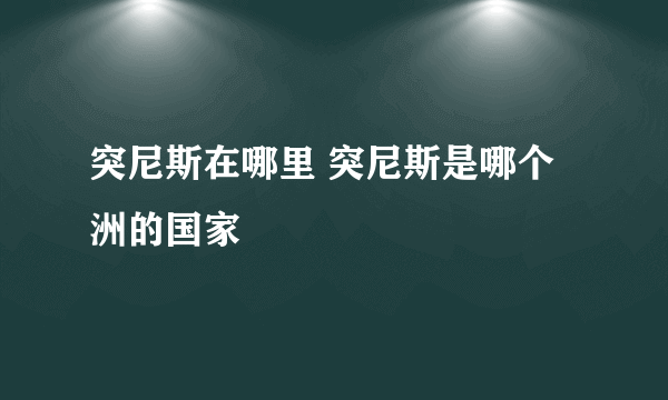 突尼斯在哪里 突尼斯是哪个洲的国家