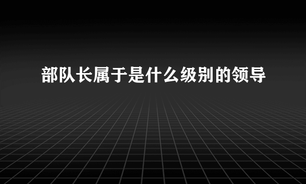 部队长属于是什么级别的领导