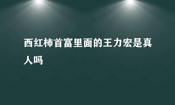 西红柿首富里面的王力宏是真人吗