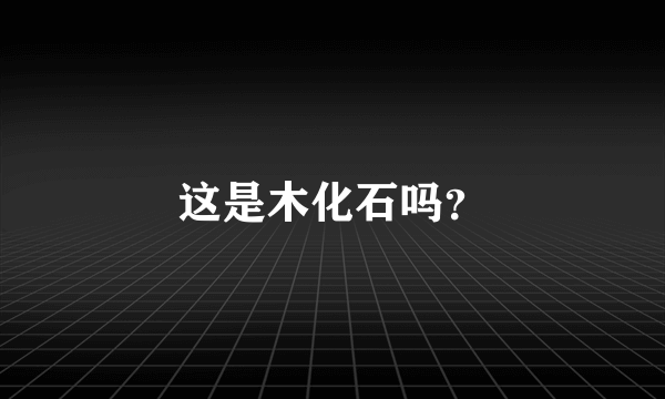 这是木化石吗？