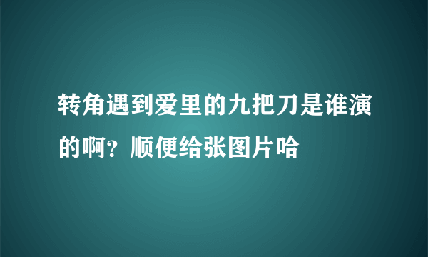 转角遇到爱里的九把刀是谁演的啊？顺便给张图片哈