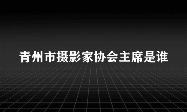 青州市摄影家协会主席是谁