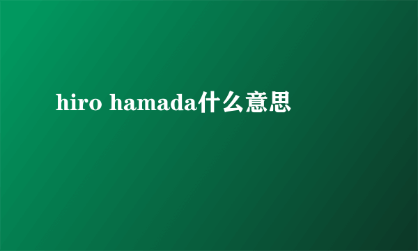 hiro hamada什么意思