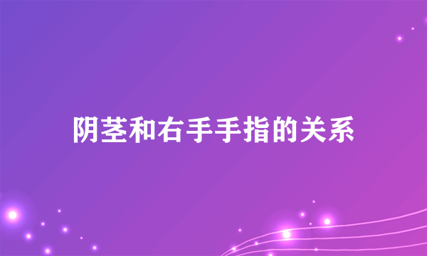 阴茎和右手手指的关系