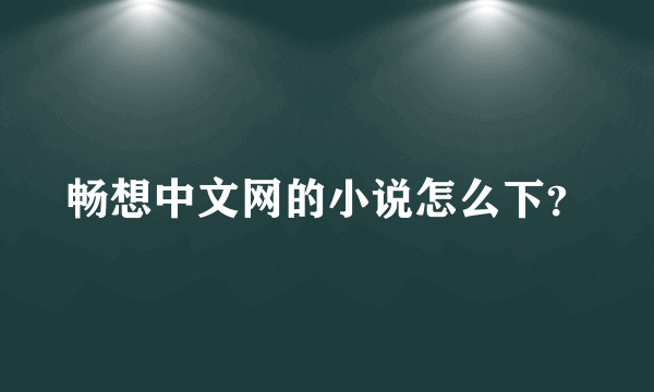 畅想中文网的小说怎么下？