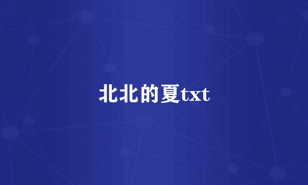 北北的夏txt