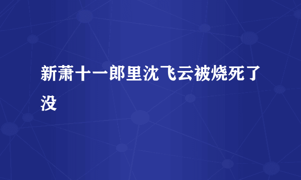 新萧十一郎里沈飞云被烧死了没