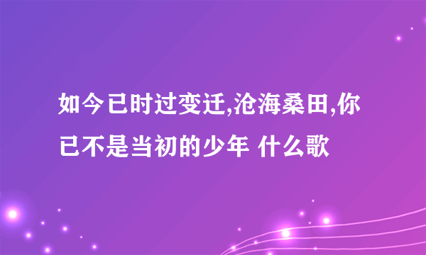 如今已时过变迁,沧海桑田,你已不是当初的少年 什么歌