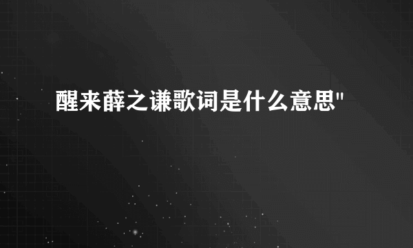 醒来薛之谦歌词是什么意思