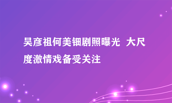 吴彦祖何美钿剧照曝光  大尺度激情戏备受关注