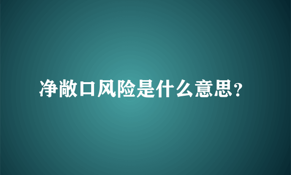 净敞口风险是什么意思？