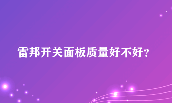 雷邦开关面板质量好不好？