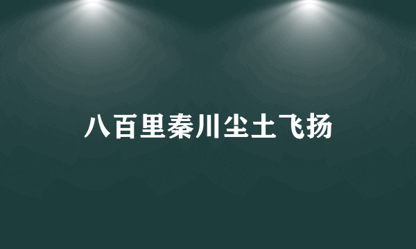 八百里秦川尘土飞扬