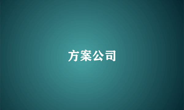 方案公司