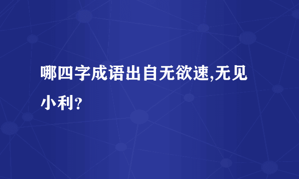 哪四字成语出自无欲速,无见小利？