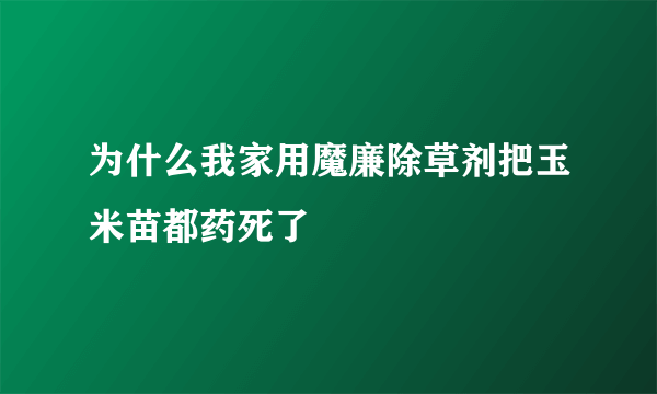 为什么我家用魔廉除草剂把玉米苗都药死了