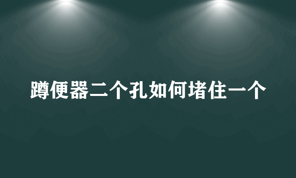 蹲便器二个孔如何堵住一个