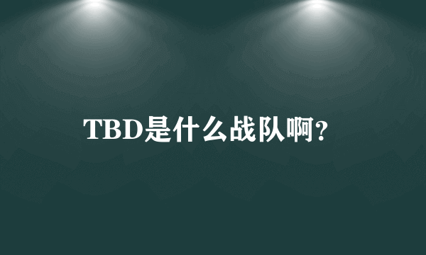 TBD是什么战队啊？