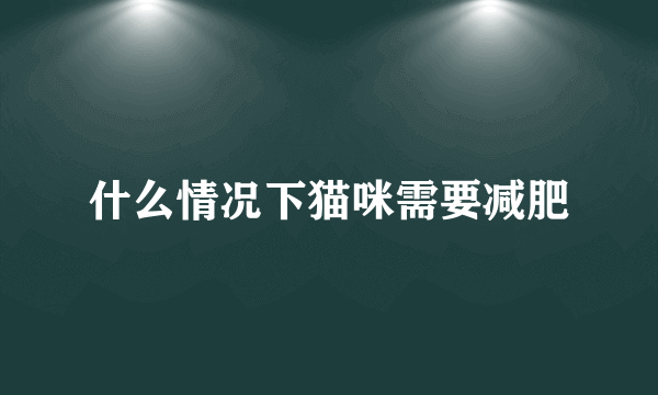 什么情况下猫咪需要减肥