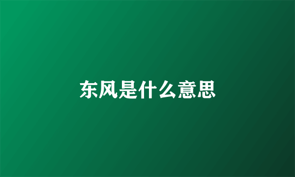 东风是什么意思