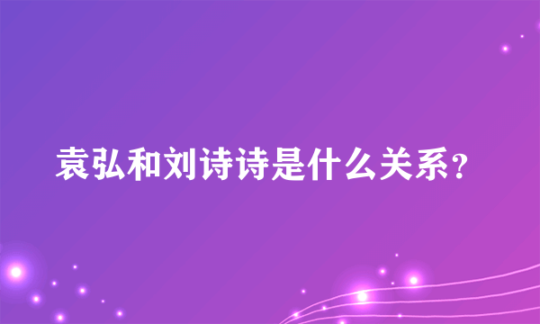 袁弘和刘诗诗是什么关系？