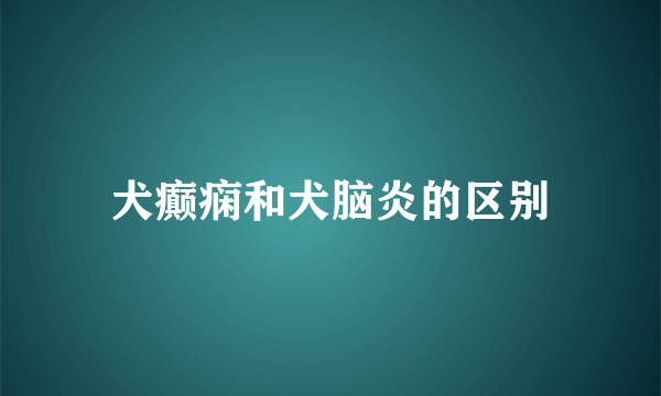 犬癫痫和犬脑炎的区别