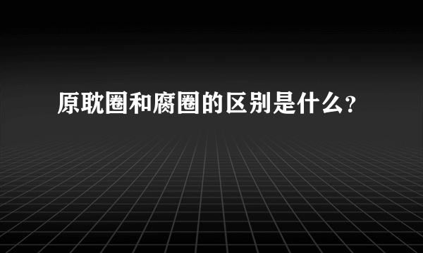 原耽圈和腐圈的区别是什么？