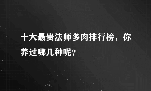 十大最贵法师多肉排行榜，你养过哪几种呢？ 