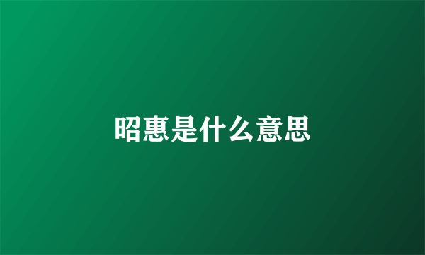 昭惠是什么意思