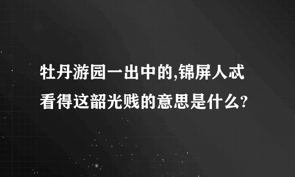 牡丹游园一出中的,锦屏人忒看得这韶光贱的意思是什么?